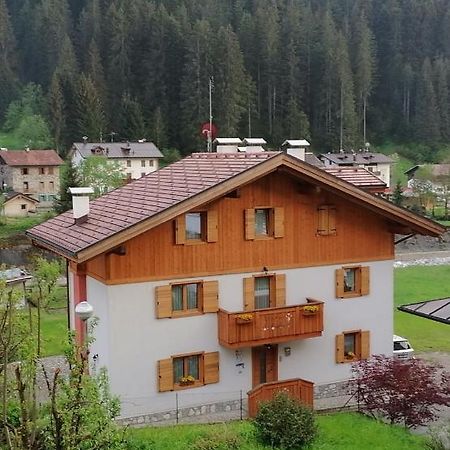B&B Il Tulipano San Pietro di Cadore Eksteriør bilde