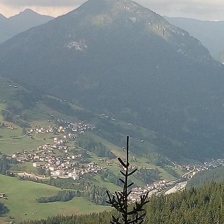 B&B Il Tulipano San Pietro di Cadore Eksteriør bilde