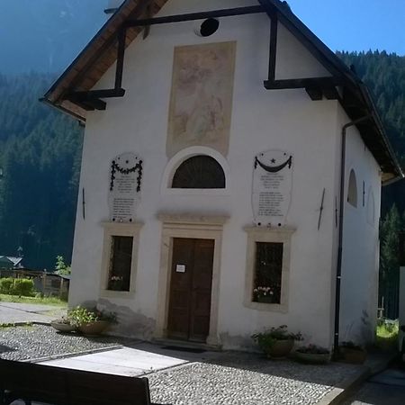 B&B Il Tulipano San Pietro di Cadore Eksteriør bilde