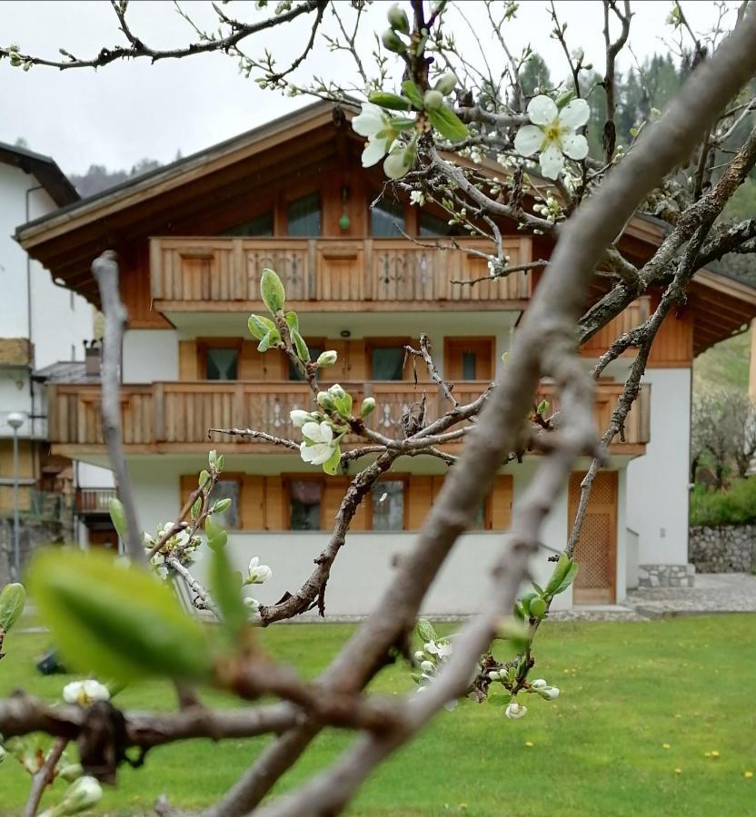 B&B Il Tulipano San Pietro di Cadore Eksteriør bilde