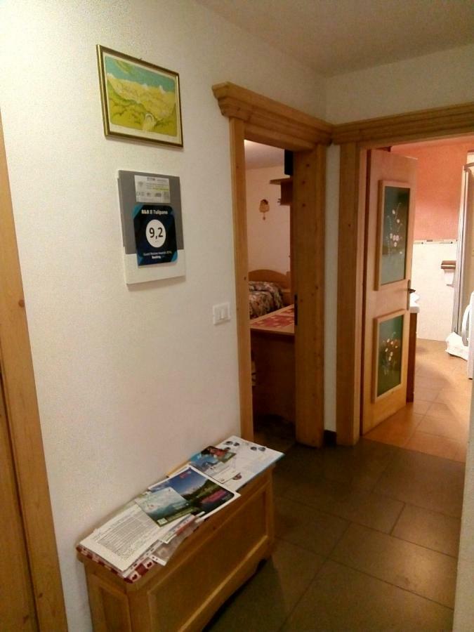 B&B Il Tulipano San Pietro di Cadore Eksteriør bilde