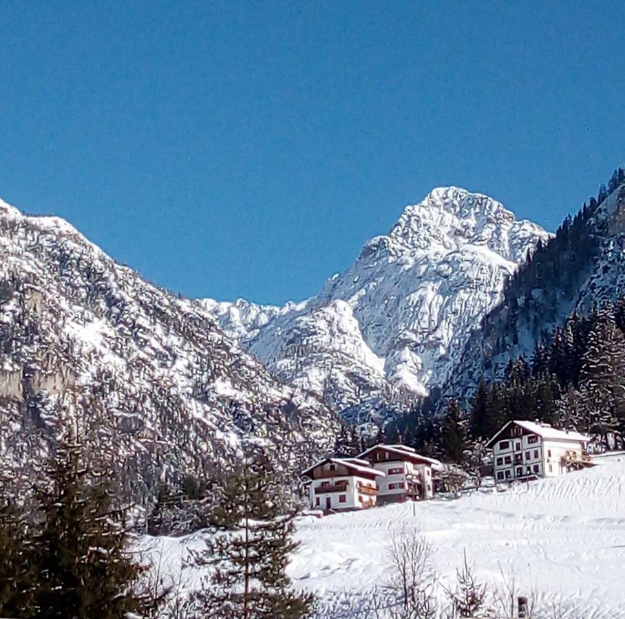 B&B Il Tulipano San Pietro di Cadore Eksteriør bilde