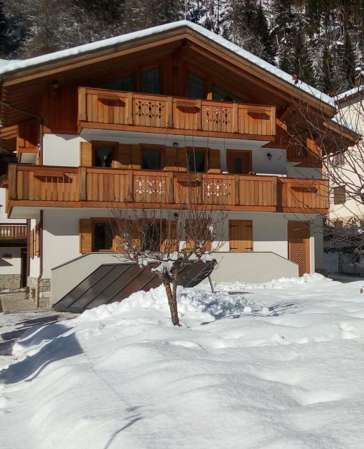 B&B Il Tulipano San Pietro di Cadore Eksteriør bilde