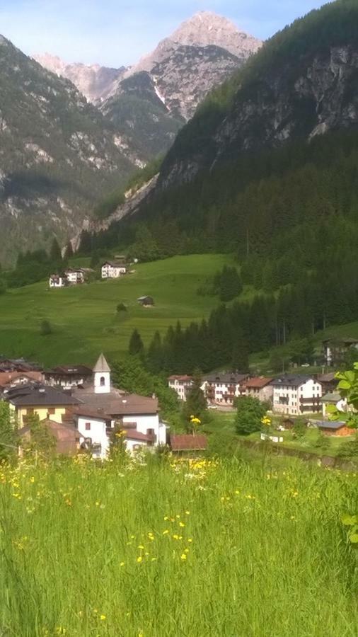 B&B Il Tulipano San Pietro di Cadore Eksteriør bilde