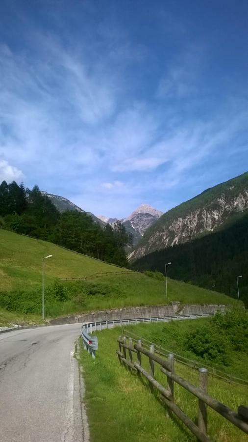 B&B Il Tulipano San Pietro di Cadore Eksteriør bilde