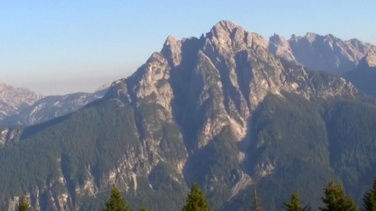 B&B Il Tulipano San Pietro di Cadore Eksteriør bilde